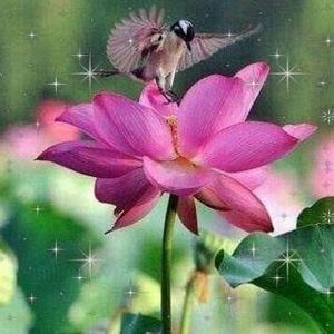 Meet your Posher, Jane